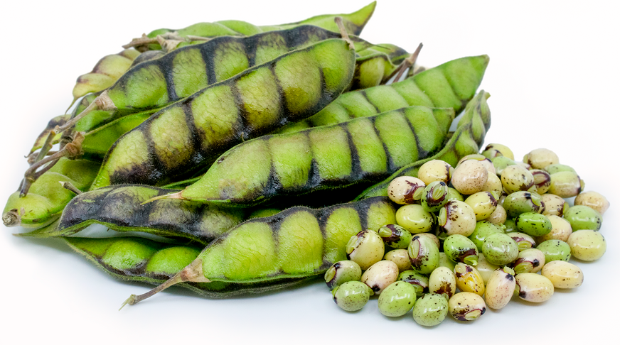 Pigeon Peas (Otillo)