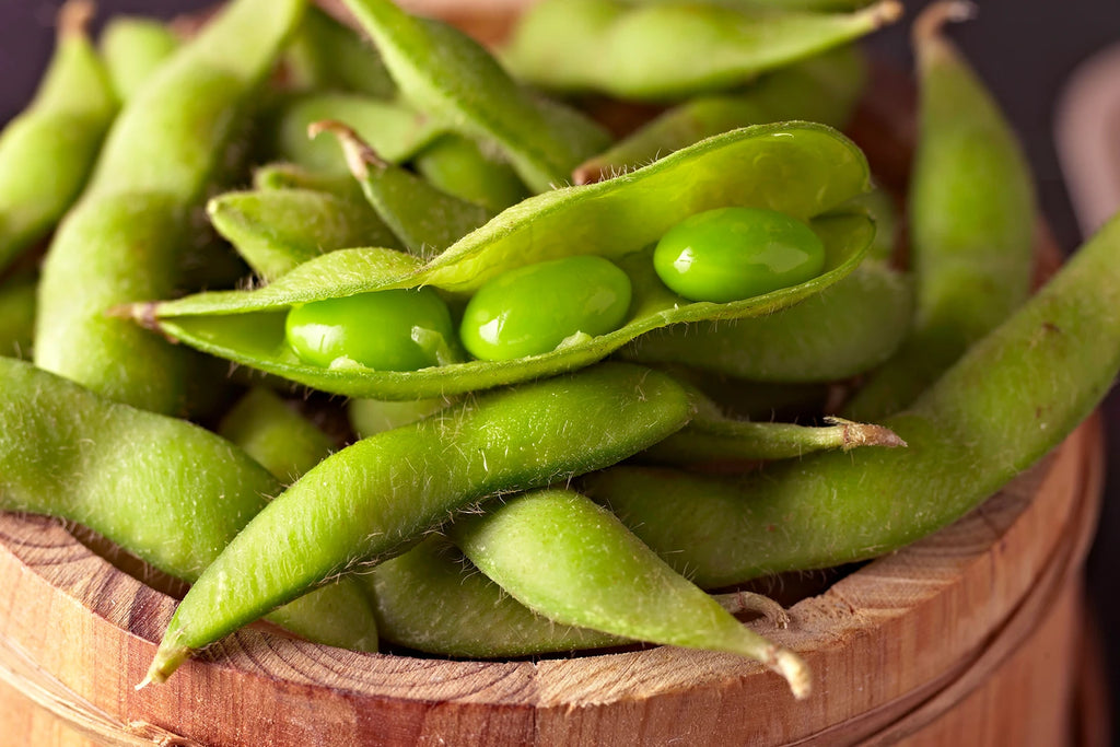 Soya Beans