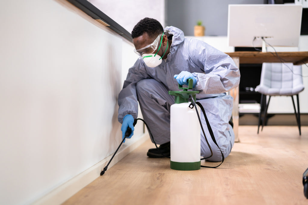 Fumigation & Pest Control Services