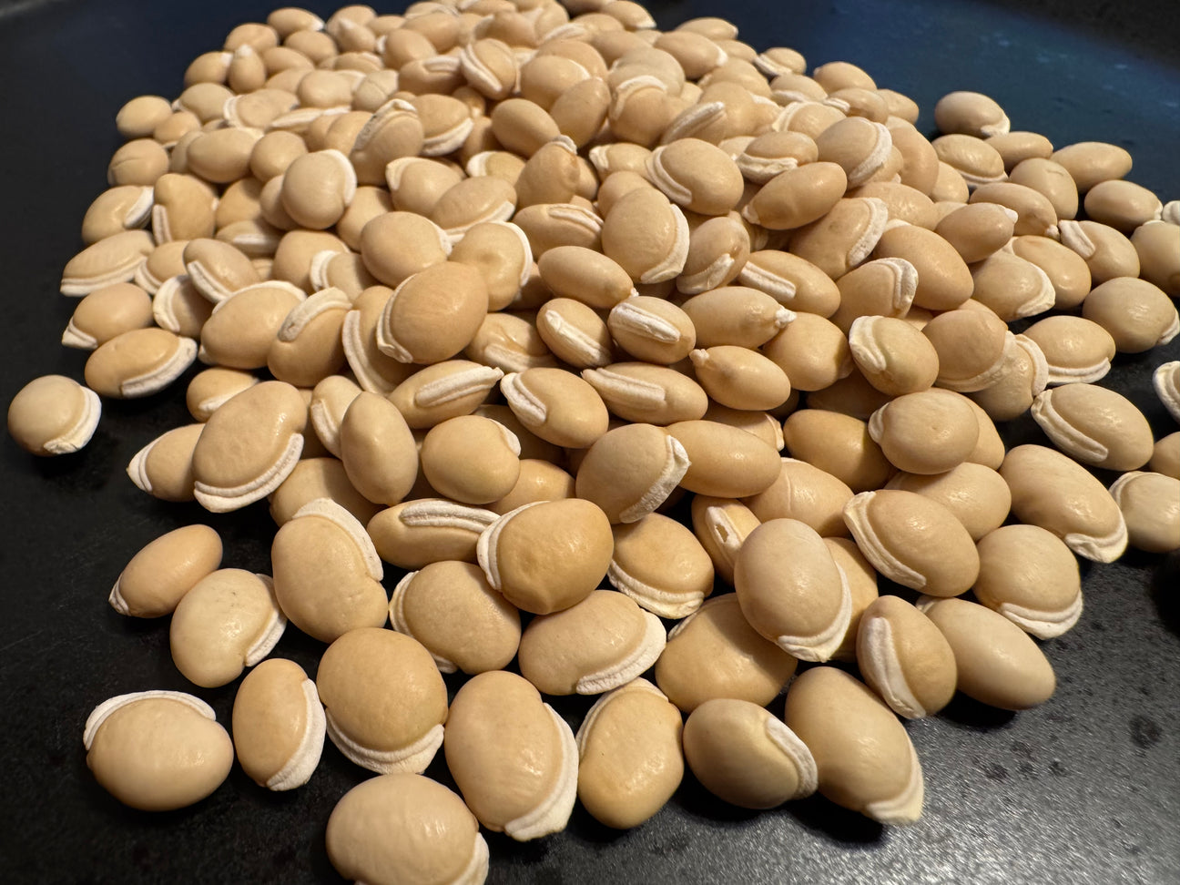 Lablab Beans (Hyacinth Bean)