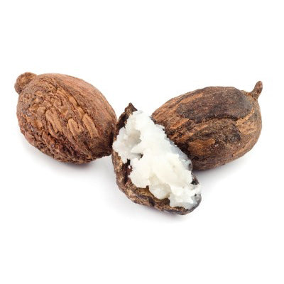 Shia Nuts (Moo yaa / Vitellaria paradoxa)