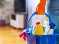 House Maids and Domestic Services