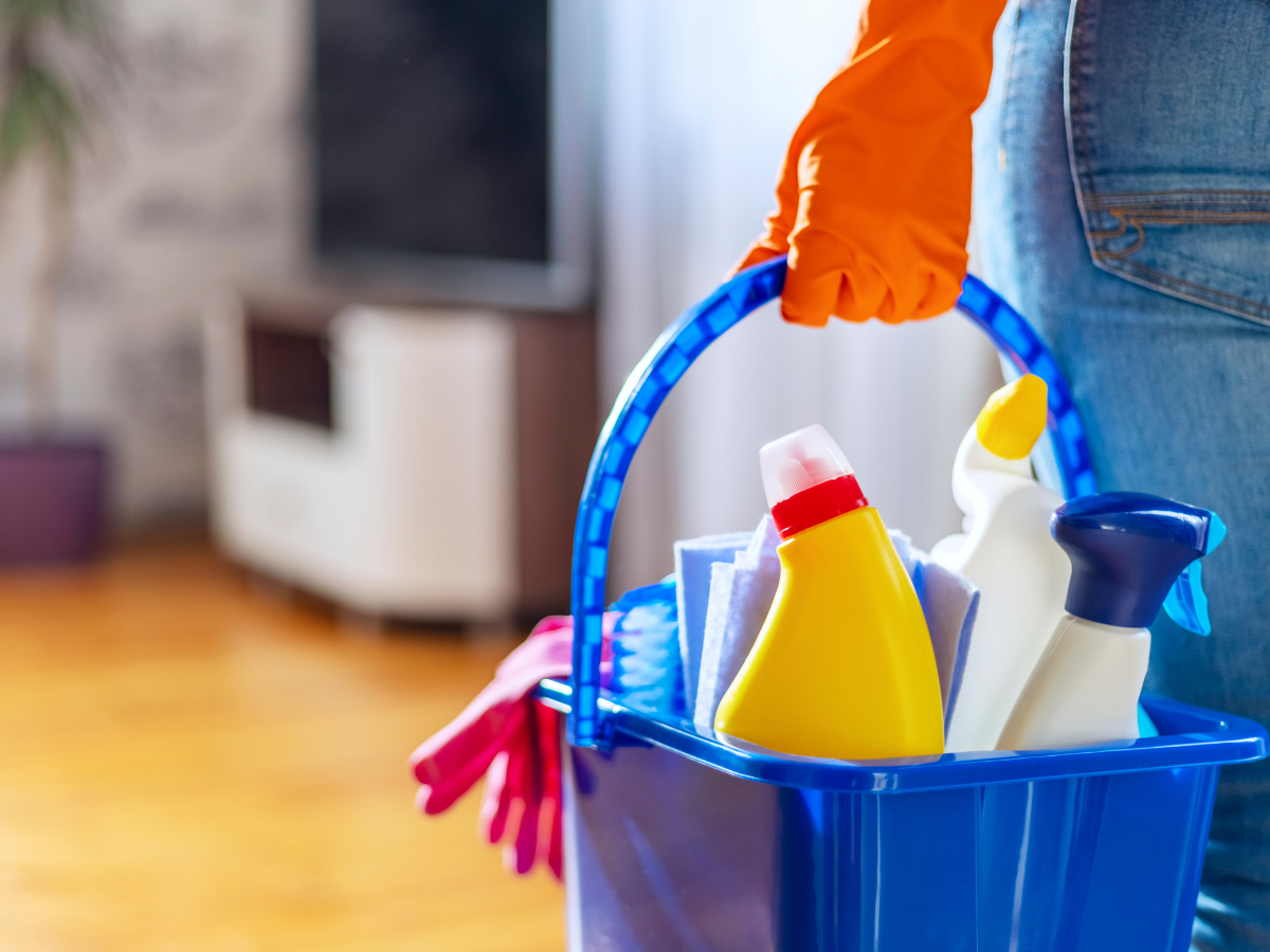 House Maids and Domestic Services