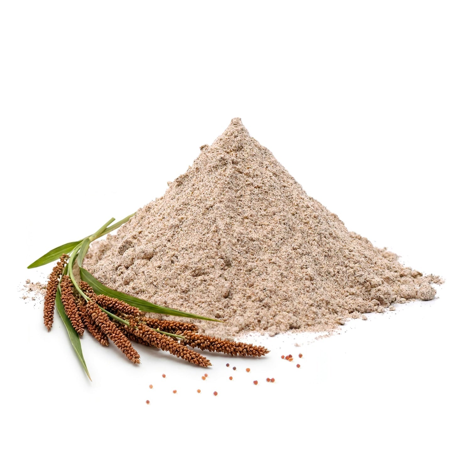 Finger Millet
