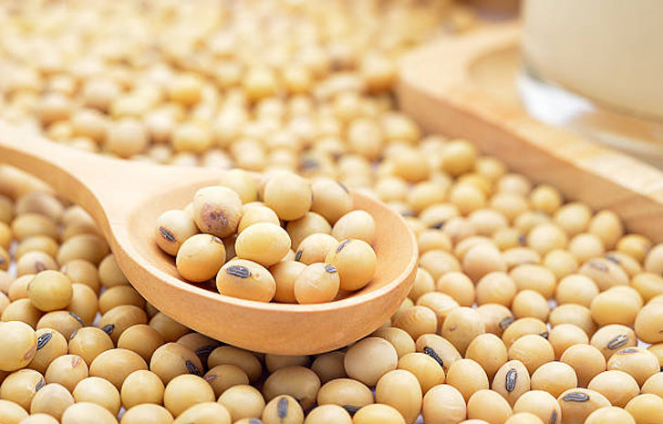 Soybeans