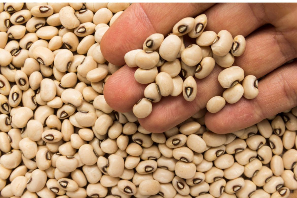 Cow Peas (Black-eyed peas)