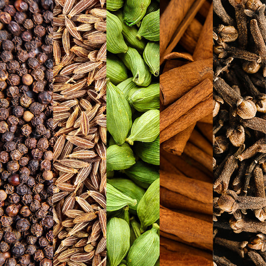 Seed Spices