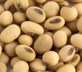 Soya Beans