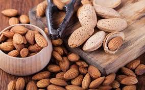 Tropical Almond Nuts (Mwafu)
