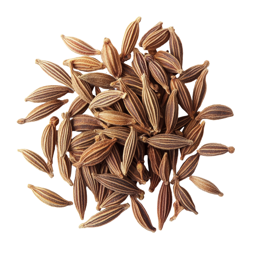 Caraway Seeds (Shahi Jeera)