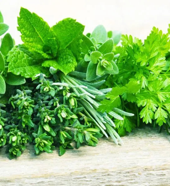 Leaves/ Herbs Spices