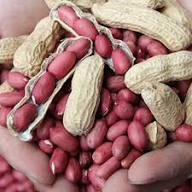 Peanuts