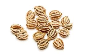 Carom Seeds (Ajwain)