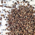 Black Cardamom (Badi Elaichi)