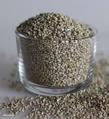 Pearl Millet