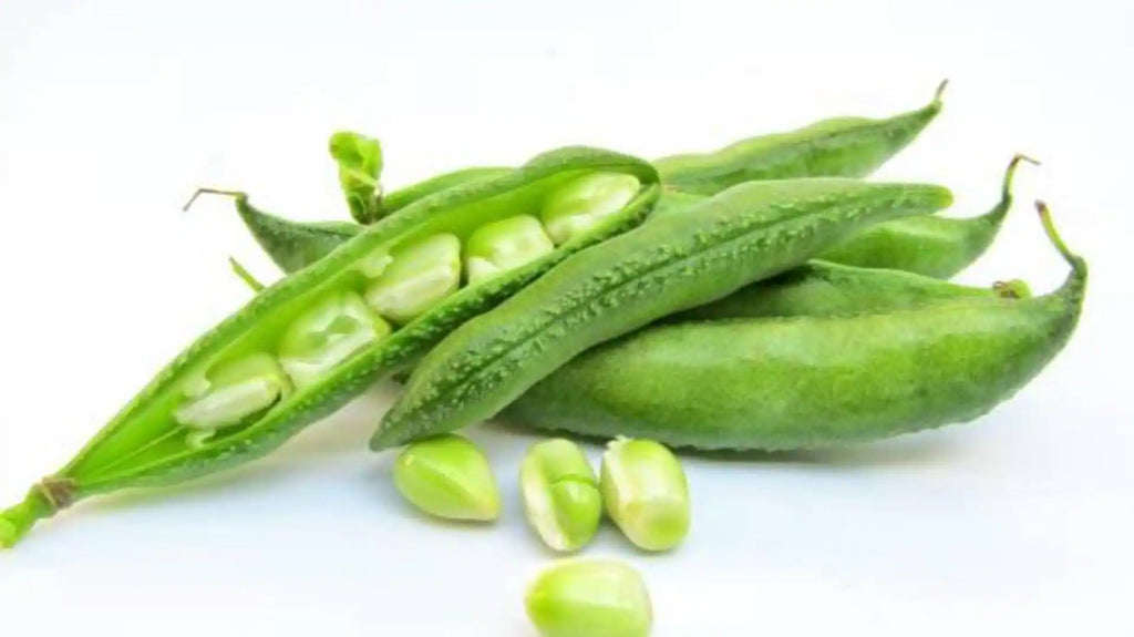 Lablab Beans (Hyacinth Bean)