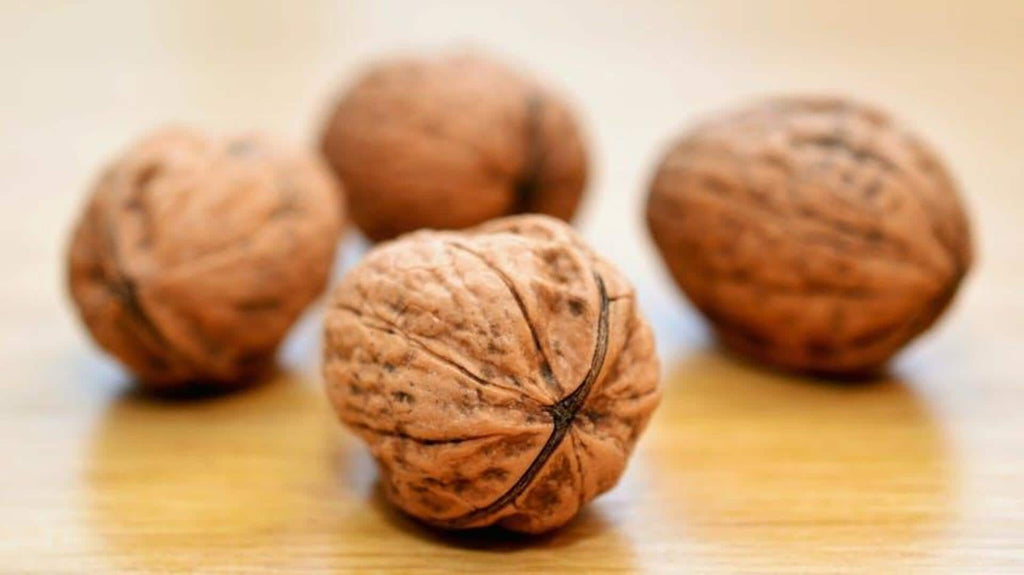 African Walnuts (Coula edulis)