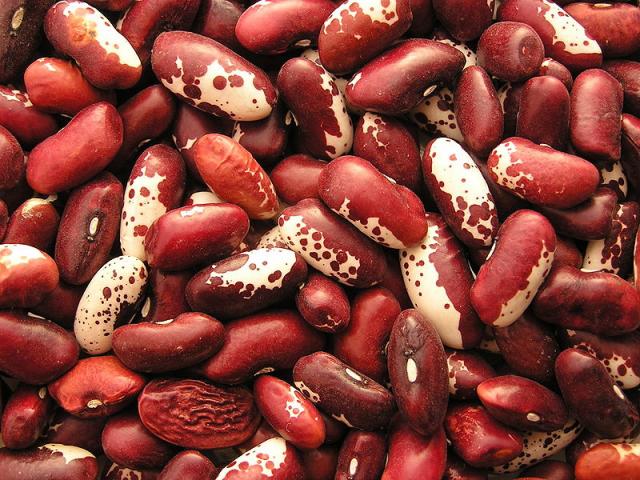 Common Beans (Phaseolus vulgaris)