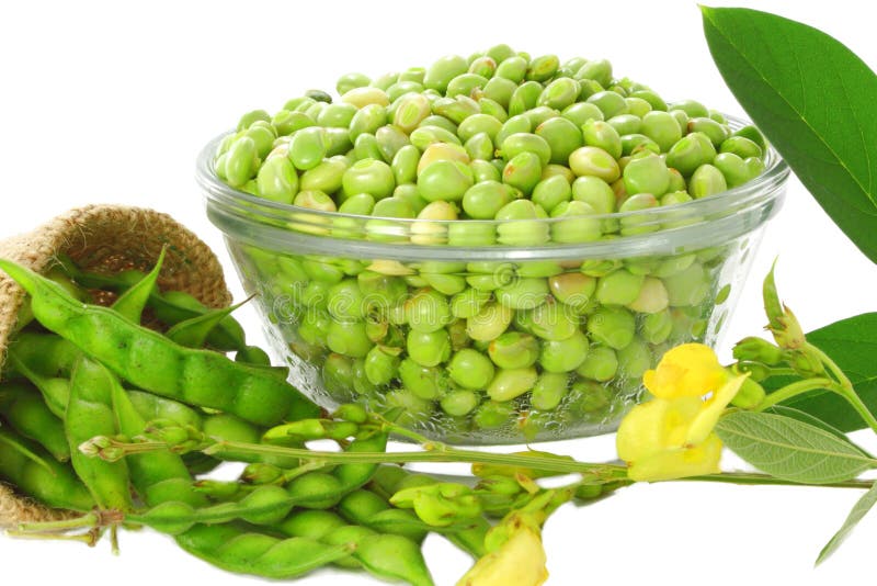 Pigeon Peas (Otillo)