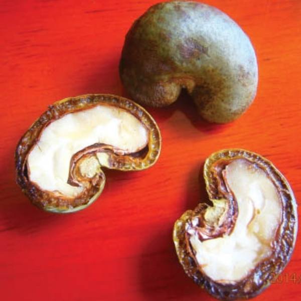 Cashew Nuts