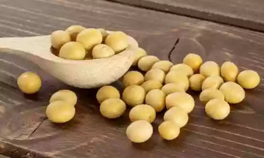 Soybeans